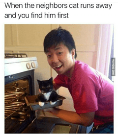 Kép: Ázsiai férfi tepsivel, amelyben macska van. Felirat: When the neighbors cat runs away and you find him first